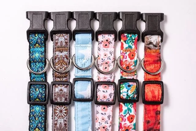 Blue Vintage Dog Collar for Small, Medium and Largs Dogs, Best Gift for your Pet!