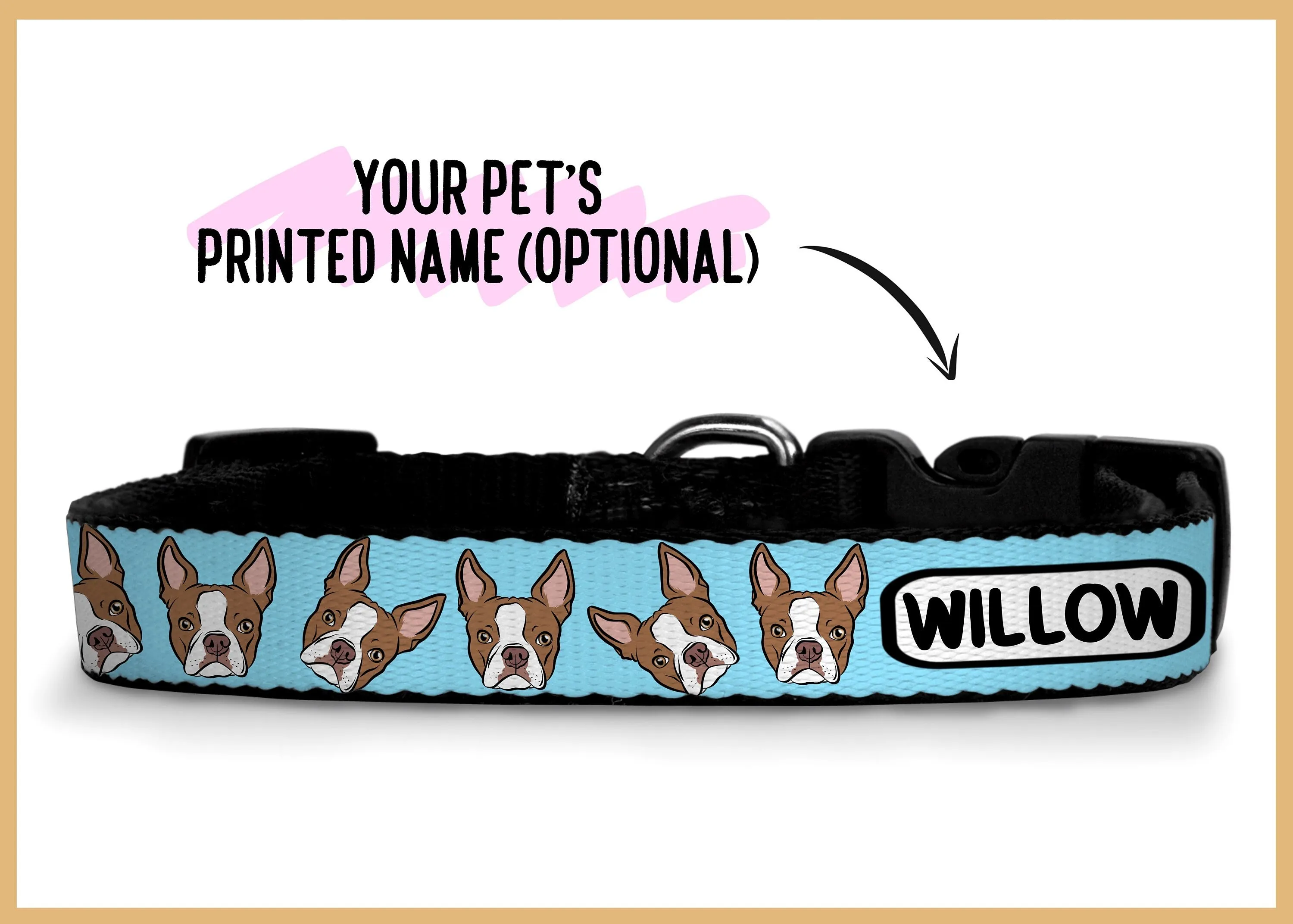 Boston Terrier Collar