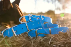 Dog Collar PVC 32mm x 55cm - Light Blue