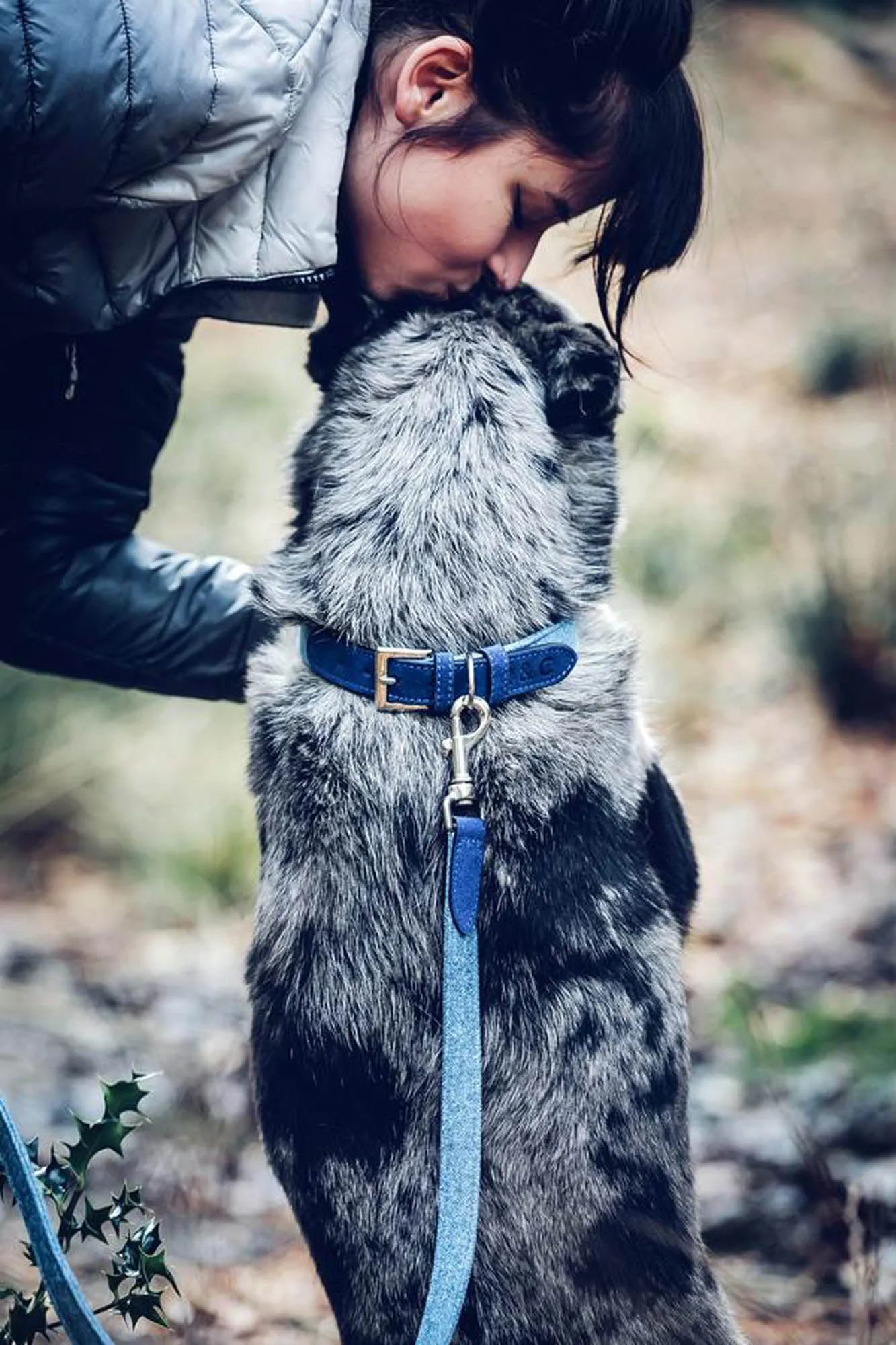 Fabric & Leather Collar - Rayleigh