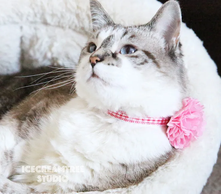 PomPom Pink Sorbet Bloom Collar Slide On - Small Flower Collar Accessory