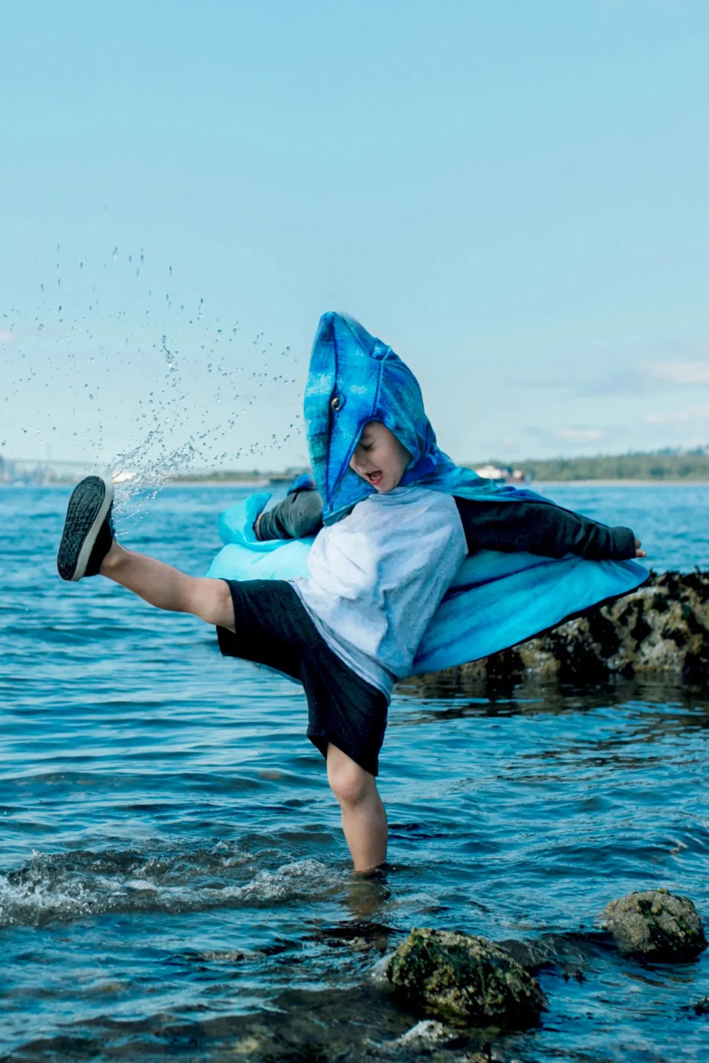 Pterodactyl Hooded Cape - FINAL SALE