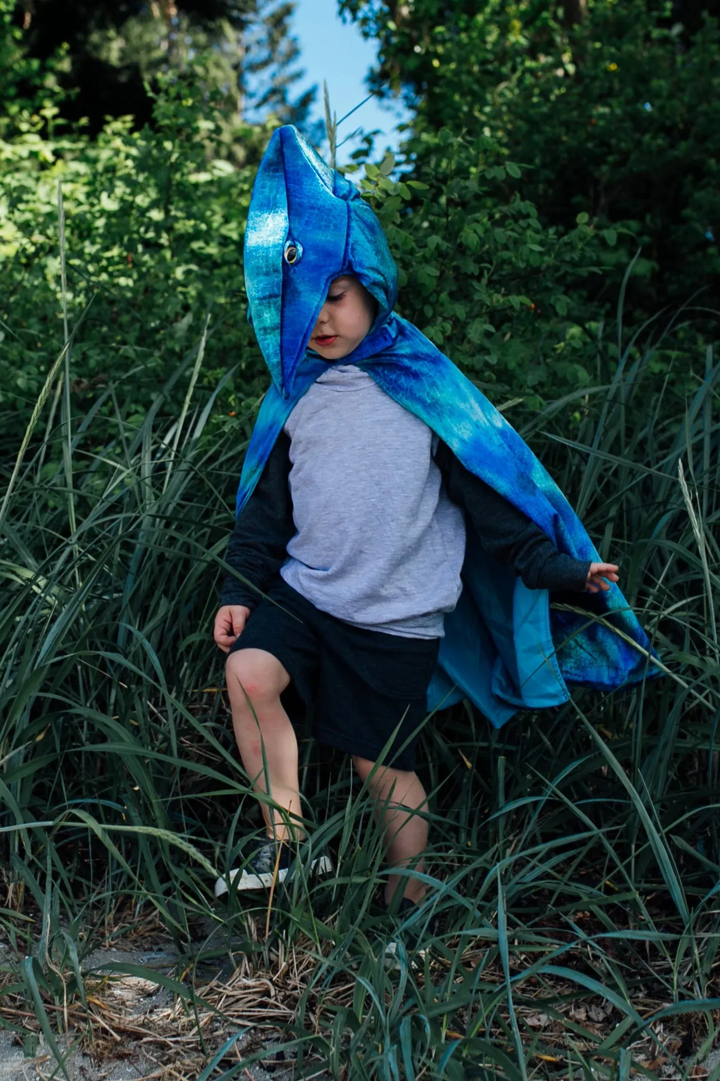 Pterodactyl Hooded Cape - FINAL SALE